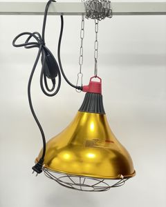 Lamp protector 3002P, 304 cage, 2 holes plug2m304chain